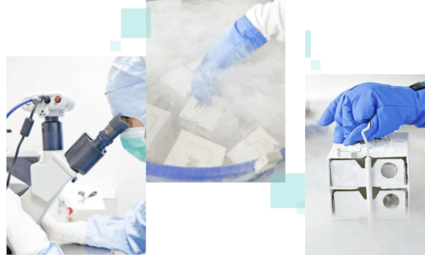 イノバセルの事業説明