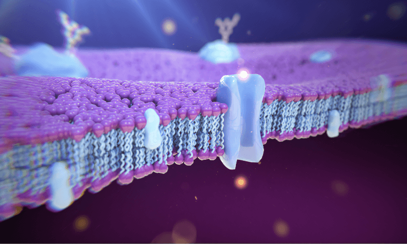 ジェイファーマの事業説明