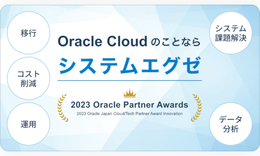 システムエグゼの事業説明